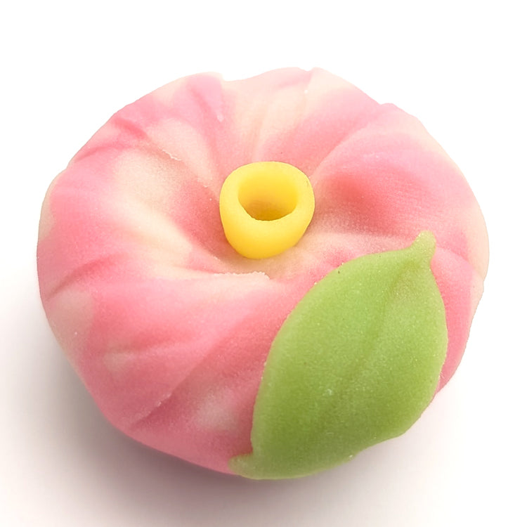 季節の上生菓子(店頭受取)