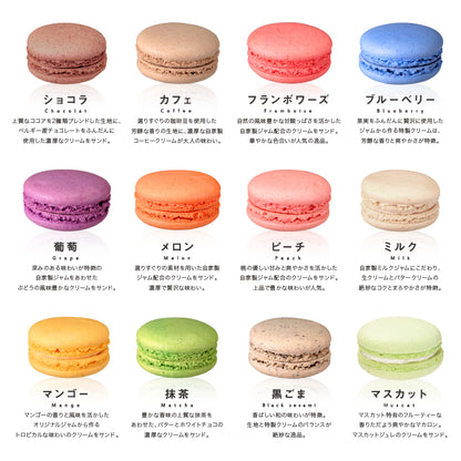 マカロン【単品・5個入・9個入・12個入・18個入】（店頭受取）