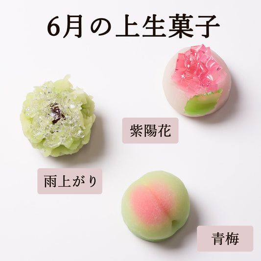 季節の上生菓子（店頭受取）