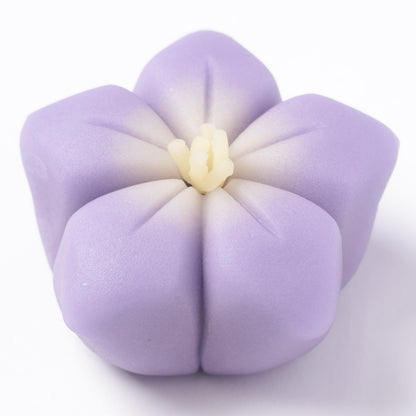 季節の上生菓子（店頭受取）