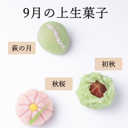 季節の上生菓子（店頭受取）