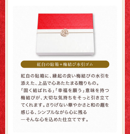 アップルパイ めで鯛｜お祝いや贈り物にぴったりの鯛型スイーツギフト [冷]（全国配送）