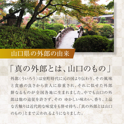 山口銘菓 外郎（ういろう）8本入｜なめらかでぷるんとした和菓子ギフト（全国配送）