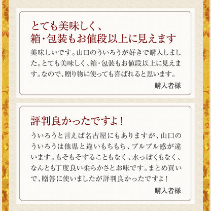 山口銘菓 外郎（ういろう）8本入｜なめらかでぷるんとした和菓子ギフト（全国配送）